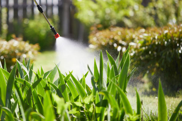 24/7 Emergency Termite Control experts in Hurricane, UT
